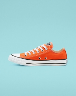 Converse Seasonal Color Chuck Taylor All Star Női Rövidszárú Arany/Fekete/Fehér | TYFIGSR-HU